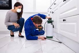 Best Real Estate Pest Inspections  in Cherry Hill Mall, NJ